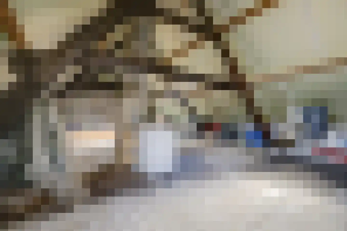 Hetterichstraat 5 Baarlo thumbnail 49
