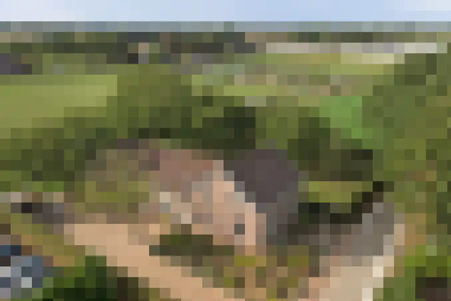 Hetterichstraat 5 Baarlo thumbnail 5