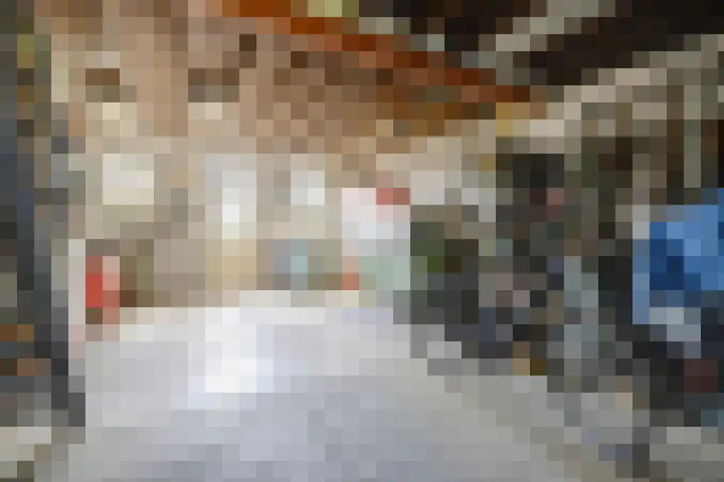 Hetterichstraat 5 Baarlo thumbnail 51