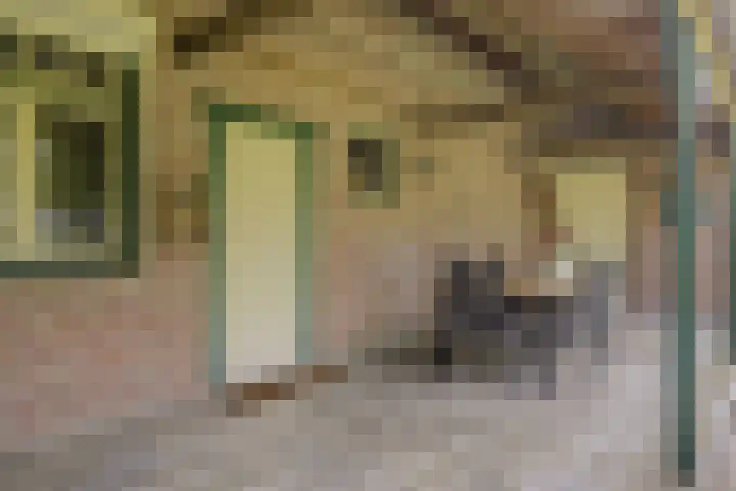 Hetterichstraat 5 Baarlo thumbnail 58