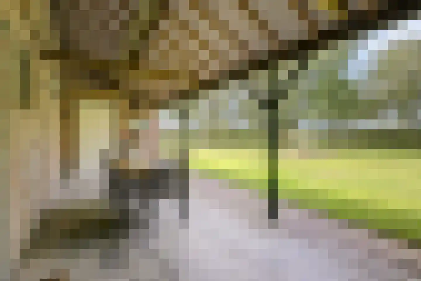 Hetterichstraat 5 Baarlo thumbnail 59
