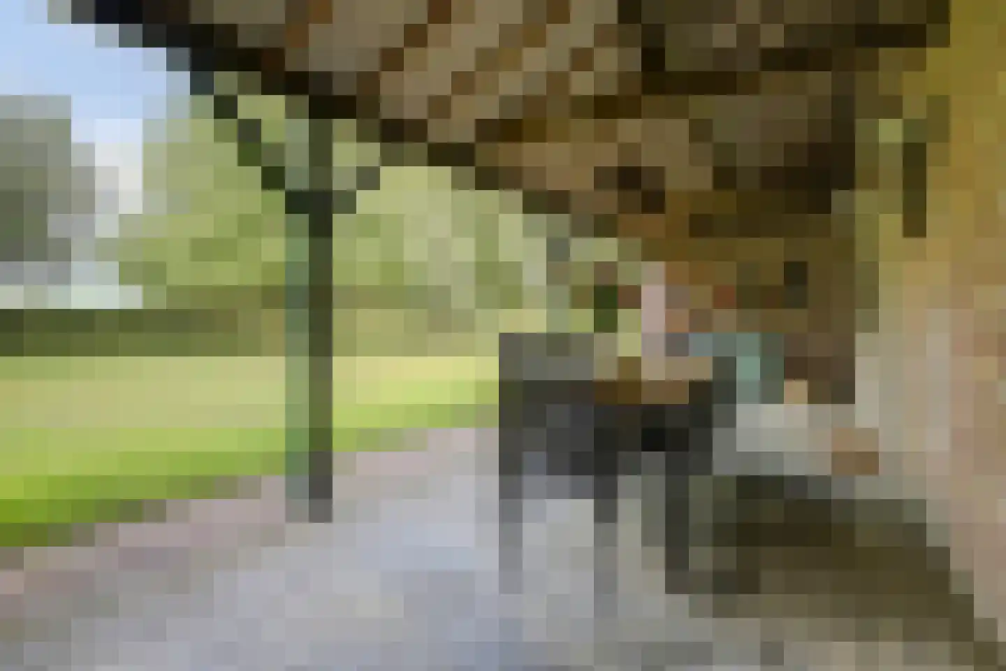 Hetterichstraat 5 Baarlo thumbnail 60