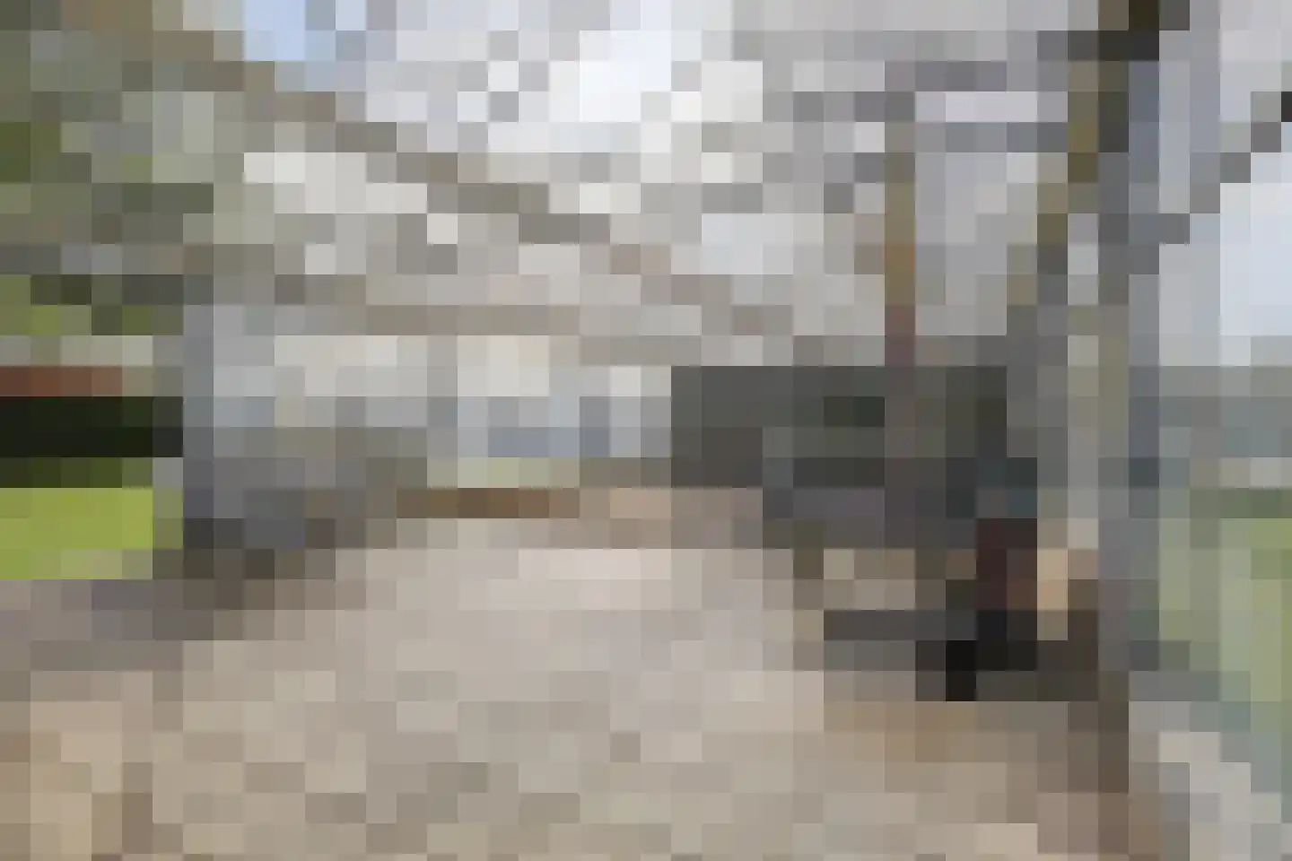 Hetterichstraat 5 Baarlo thumbnail 62
