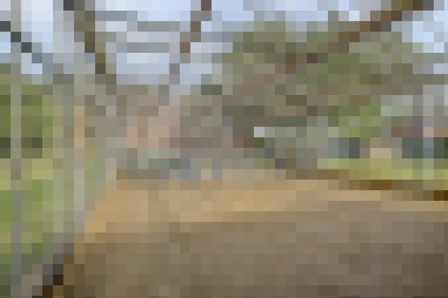 Hetterichstraat 5 Baarlo thumbnail 63