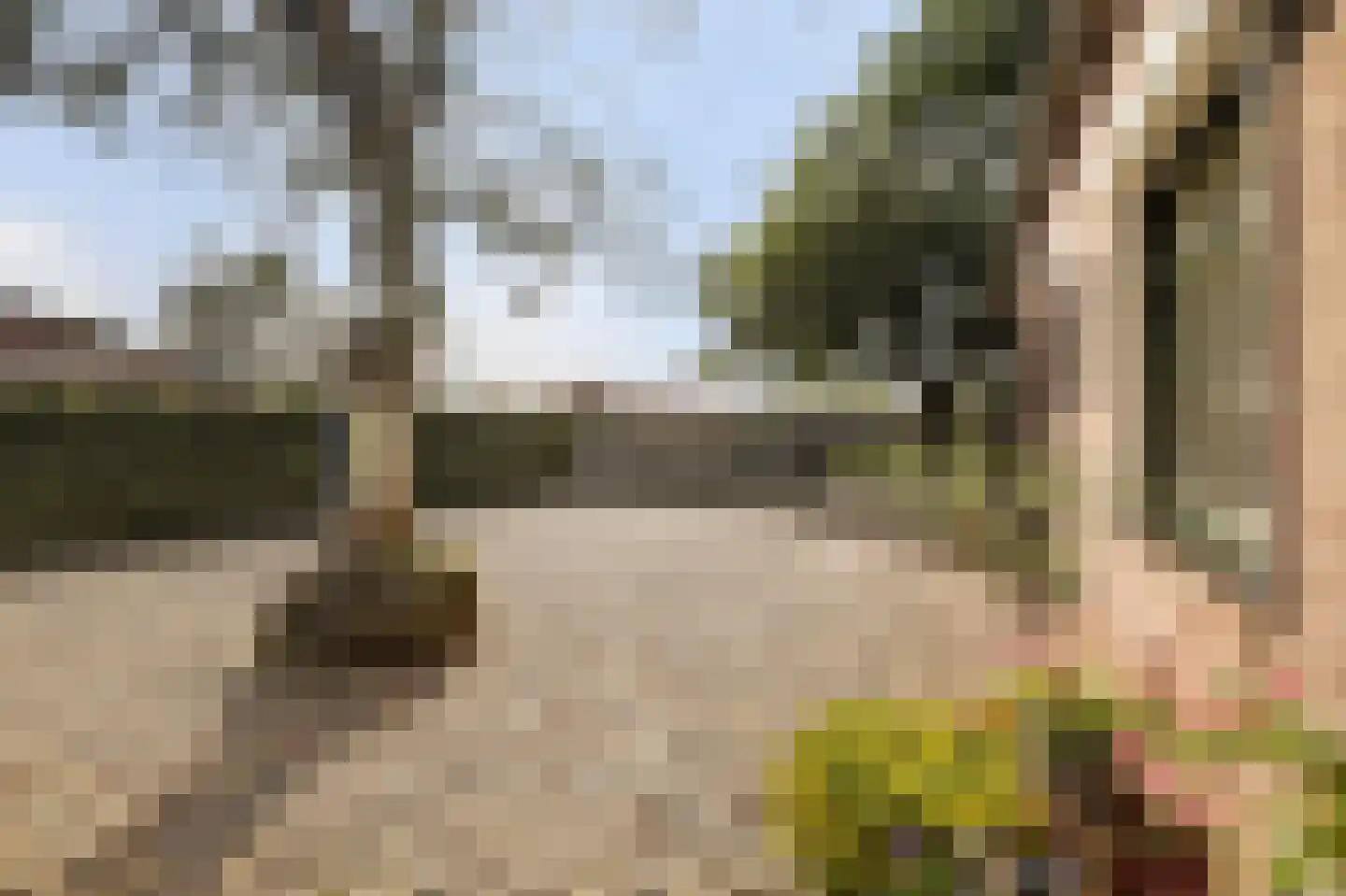 Hetterichstraat 5 Baarlo thumbnail 66