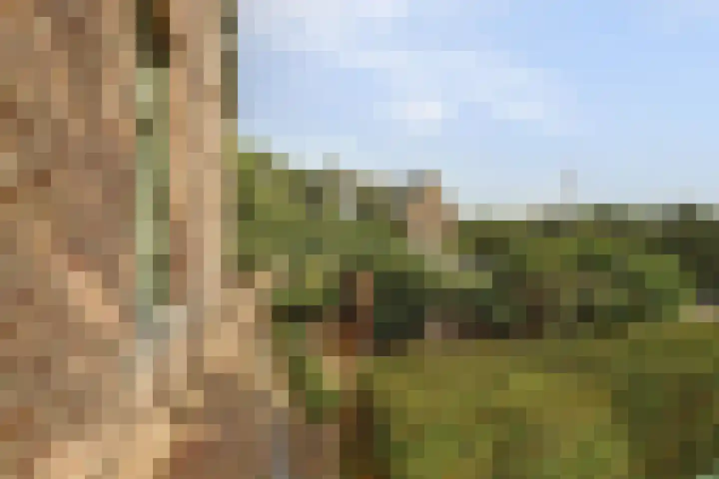 Hetterichstraat 5 Baarlo thumbnail 67