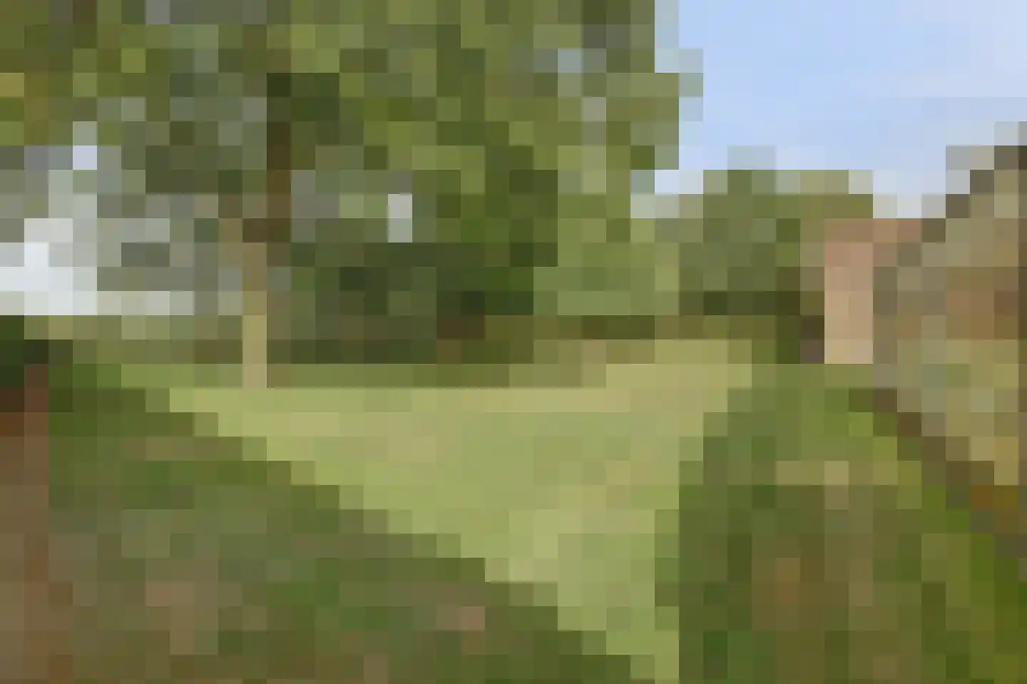 Hetterichstraat 5 Baarlo thumbnail 72