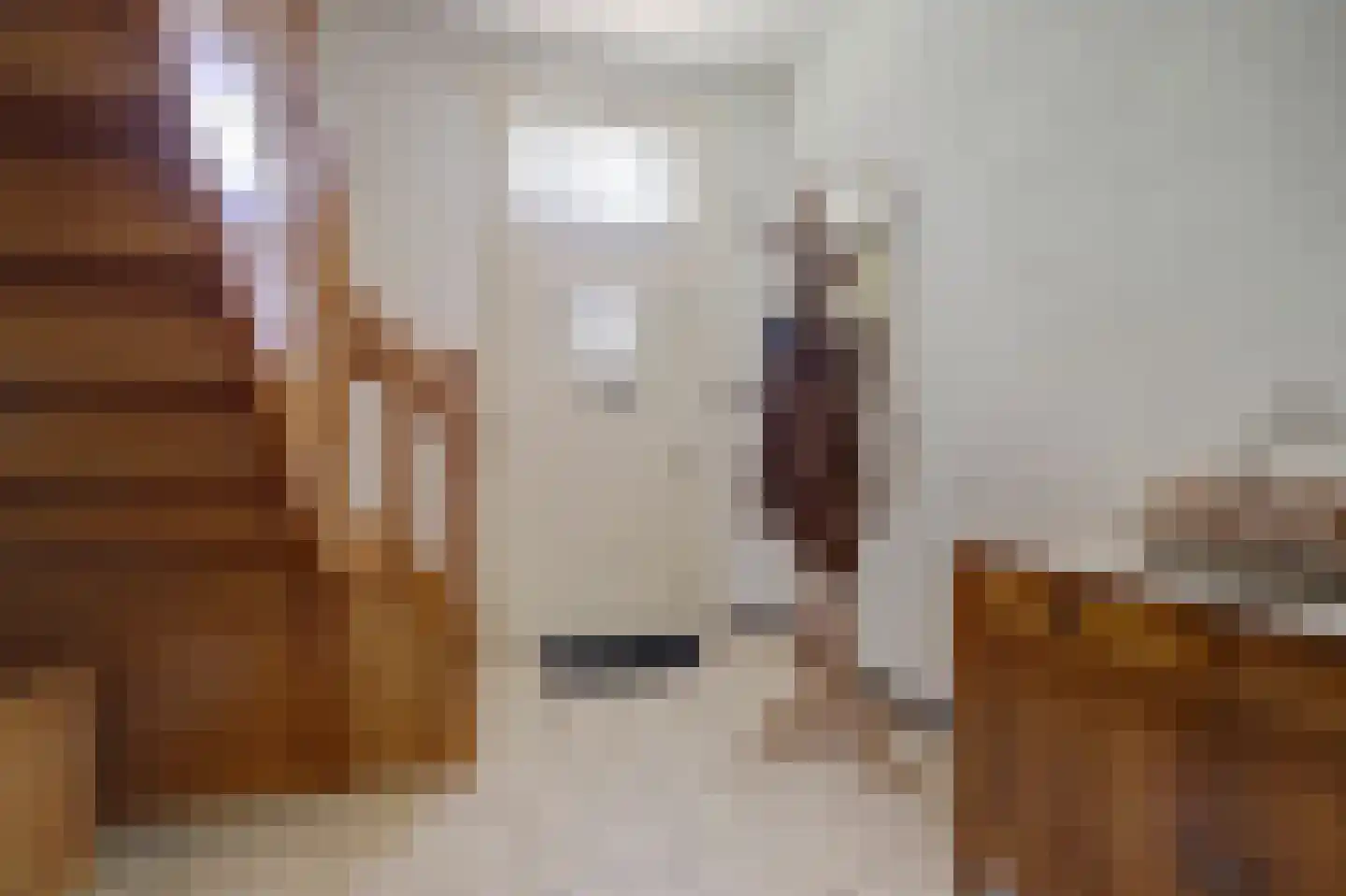Hetterichstraat 5 Baarlo thumbnail 8
