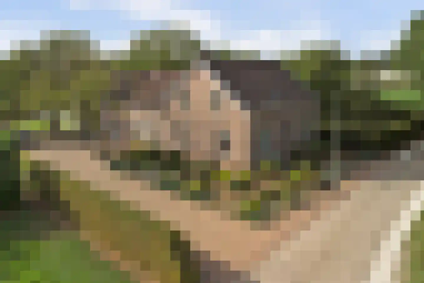 Hetterichstraat 5 Baarlo thumbnail 80