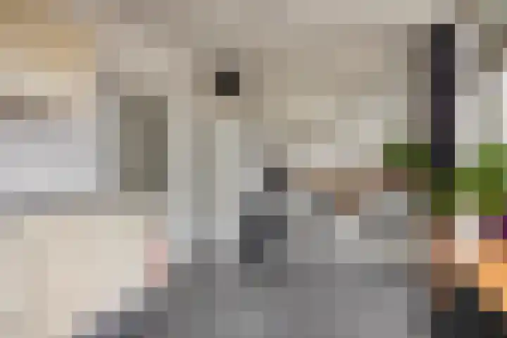 Heubergerstraat 125 Tilburg thumbnail 12