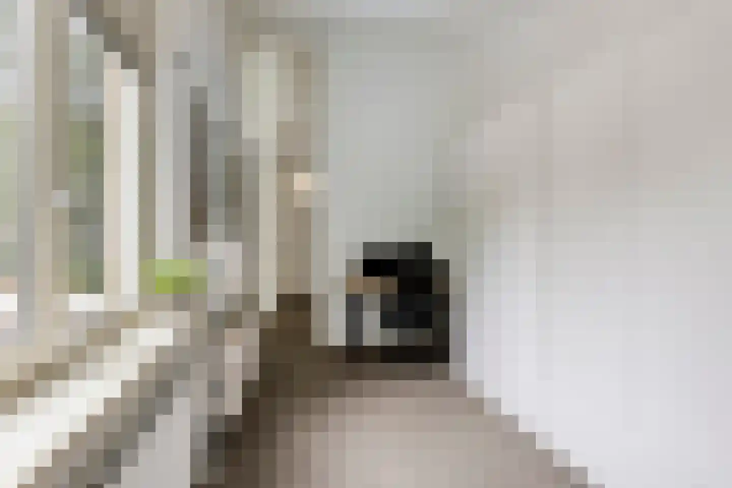 Heubergerstraat 37 Tilburg thumbnail 22