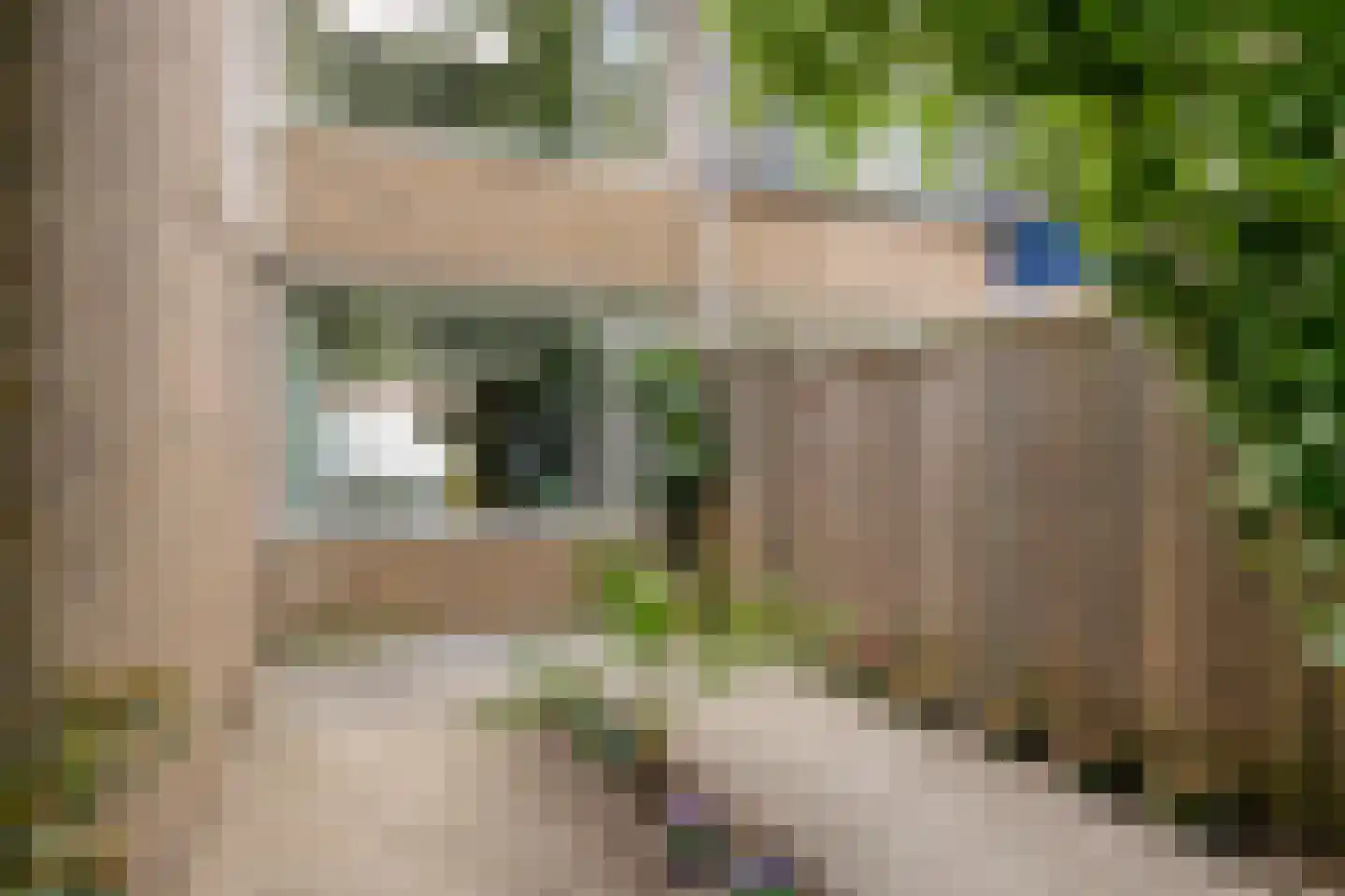 Heubergerstraat 55 Tilburg thumbnail 30