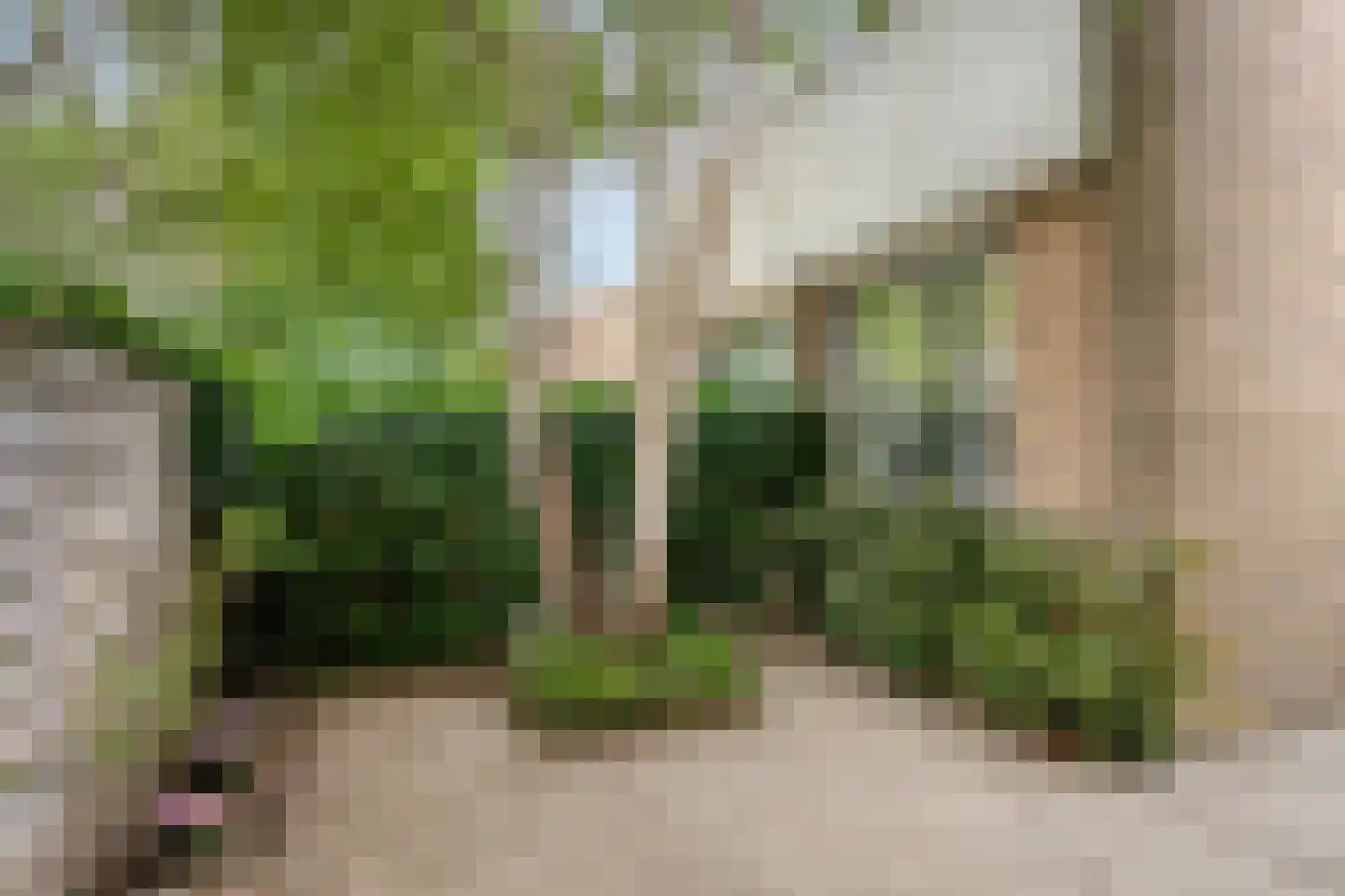 Heubergerstraat 55 Tilburg thumbnail 31