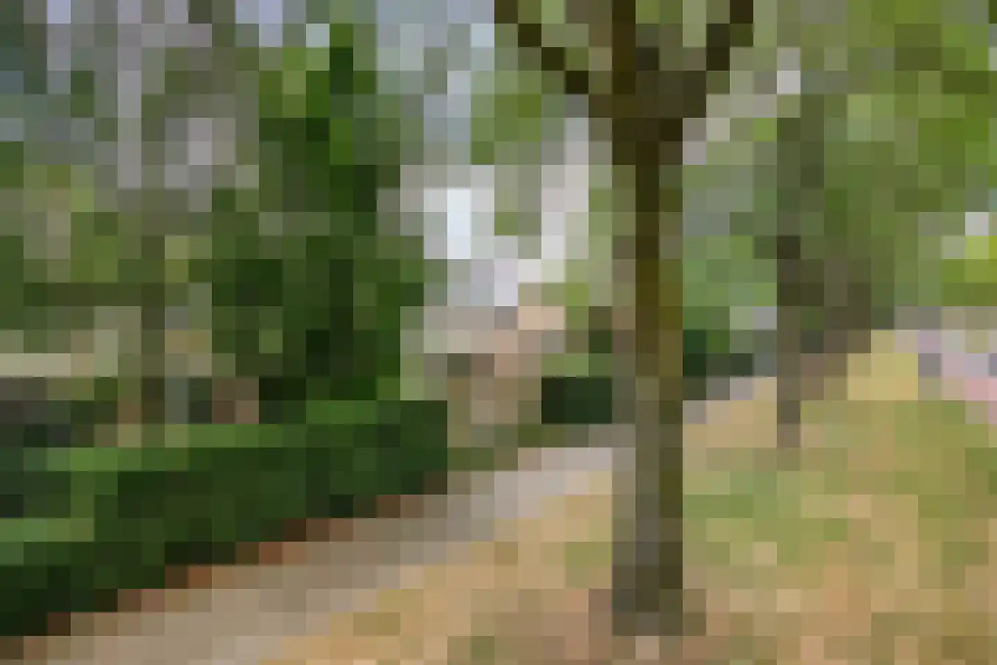 Heubergerstraat 55 Tilburg thumbnail 33