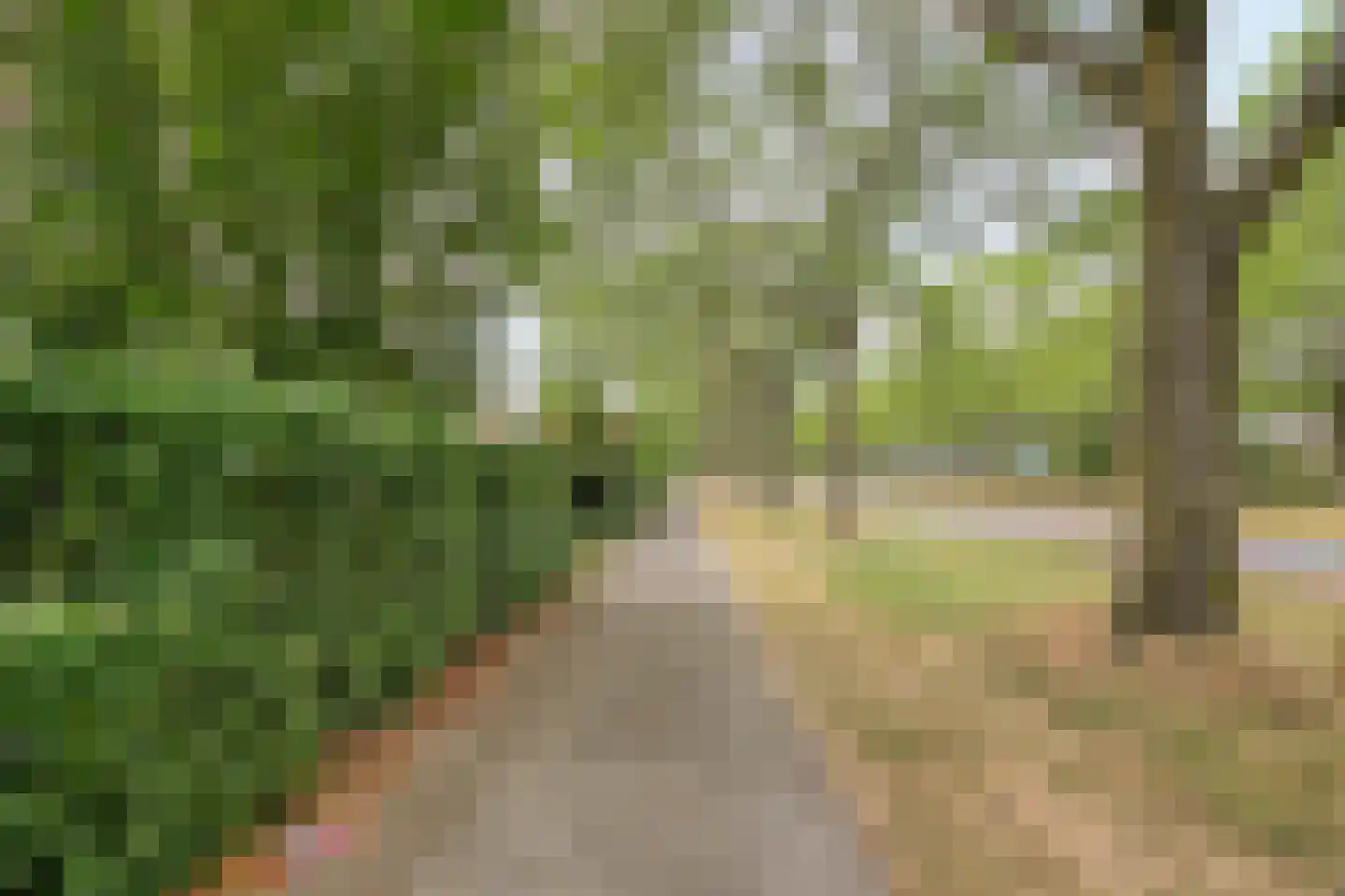 Heubergerstraat 55 Tilburg thumbnail 35