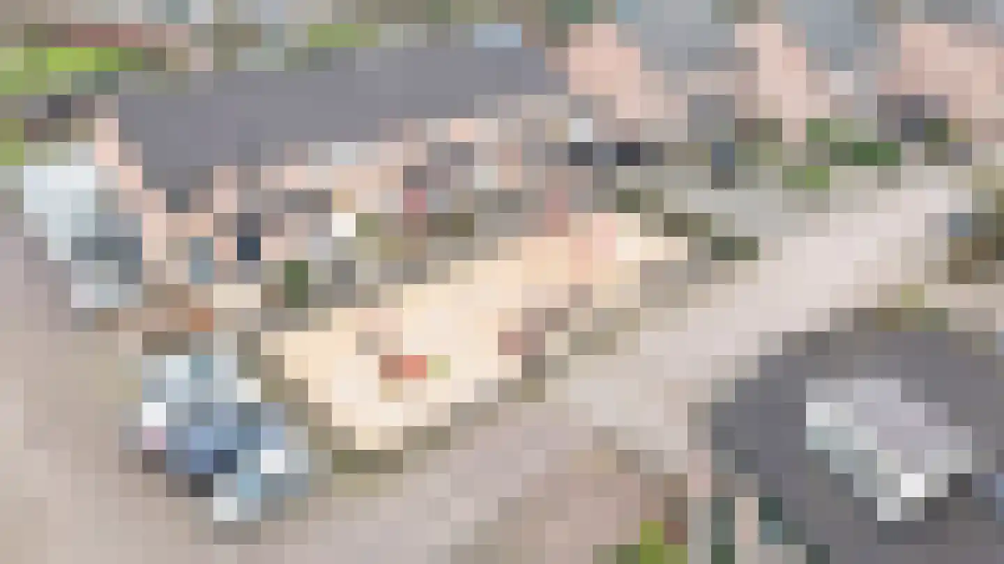 Heufke 20 Druten thumbnail 36