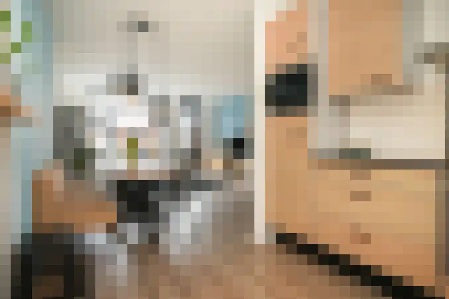 Heufke 20 Druten thumbnail 9