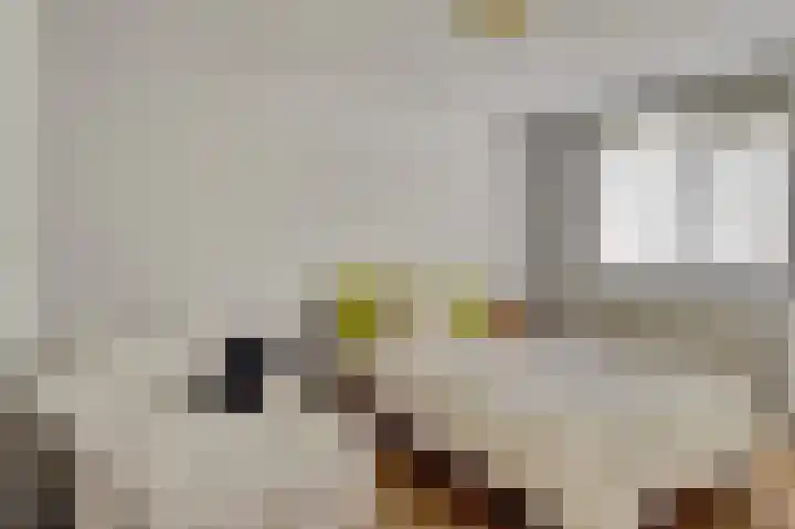 Heufke 23 Druten thumbnail 18