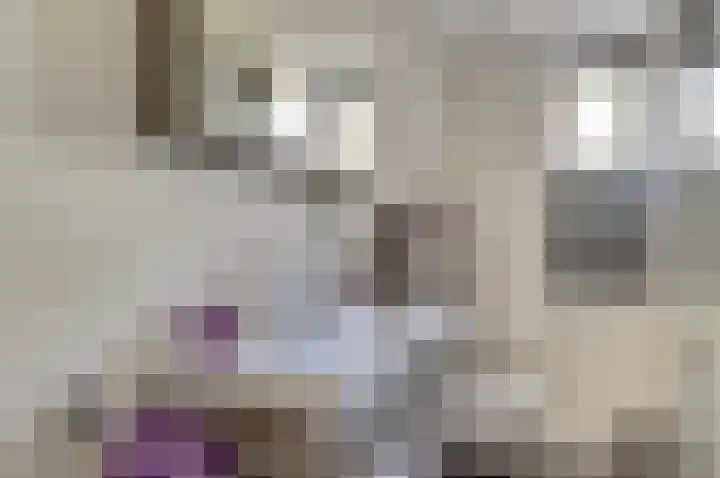 Heufke 23 Druten thumbnail 24