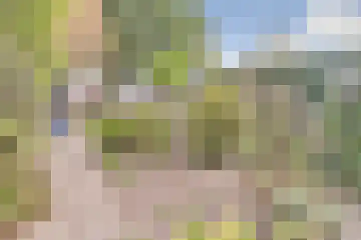 Heufke 23 Druten thumbnail 32