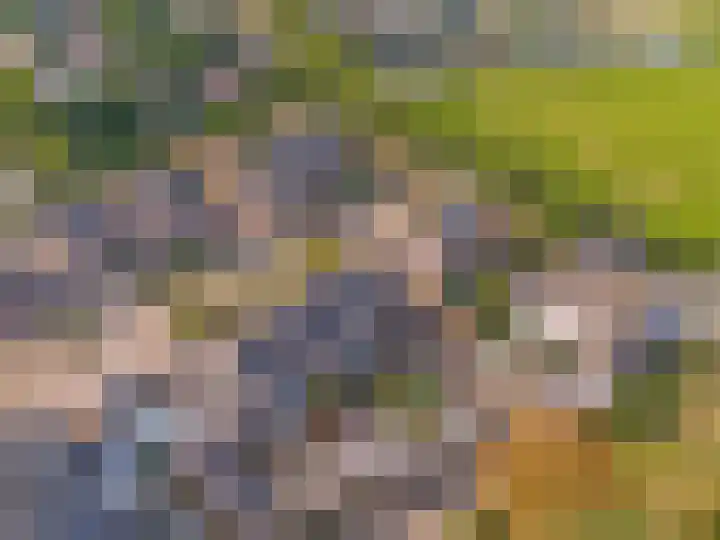 Heufke 23 Druten thumbnail 38