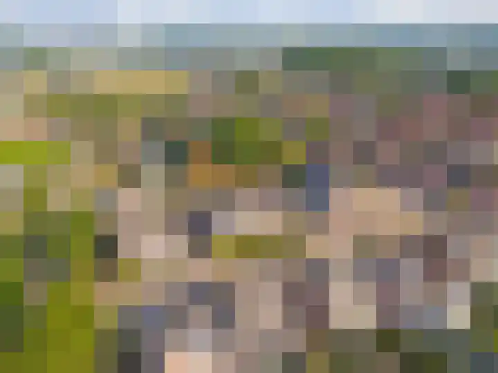 Heufke 23 Druten thumbnail 39