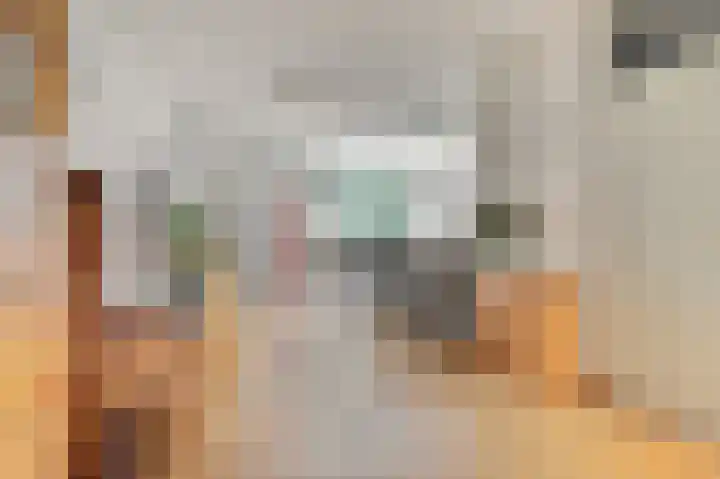 Heufke 23 Druten thumbnail 5