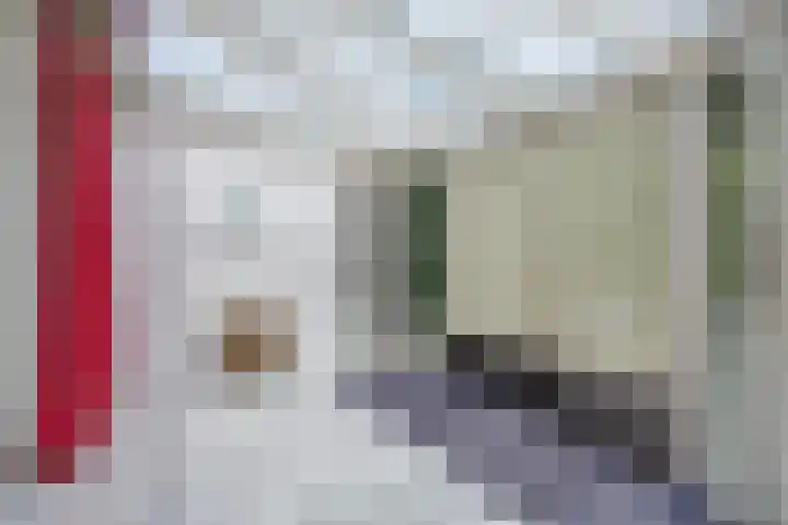 Heufke 40 Druten thumbnail 12