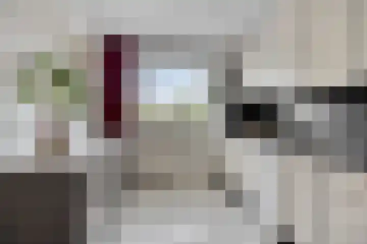 Heufke 40 Druten thumbnail 14