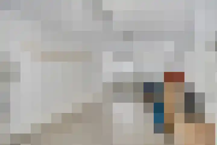 Heufke 40 Druten thumbnail 17
