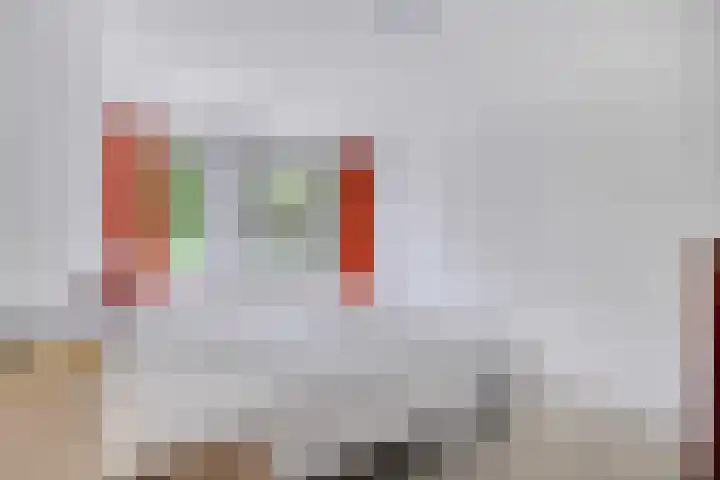 Heufke 40 Druten thumbnail 18