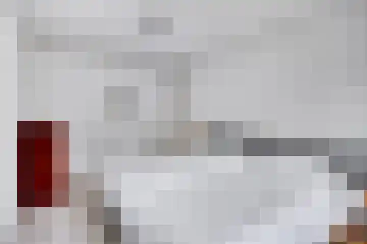 Heufke 40 Druten thumbnail 19