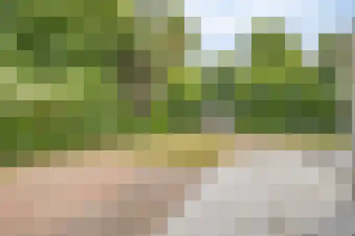 Heufke 40 Druten thumbnail 26