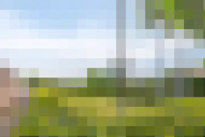 Heufke 40 Druten thumbnail 28
