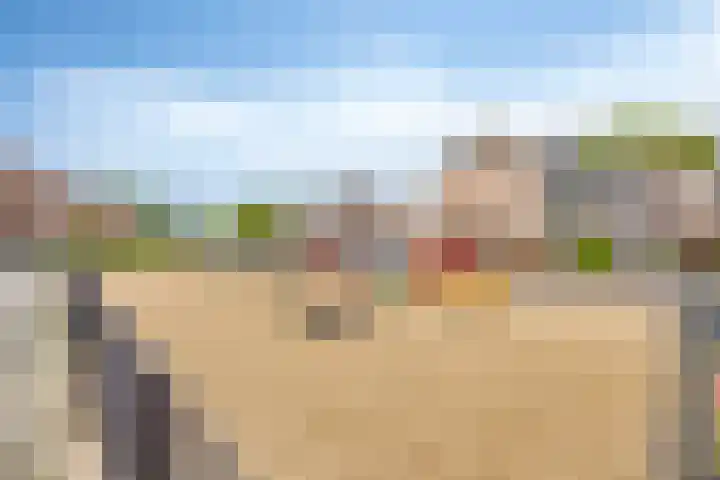 Heufke 40 Druten thumbnail 29