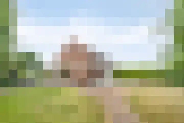 Heufke 40 Druten thumbnail 4