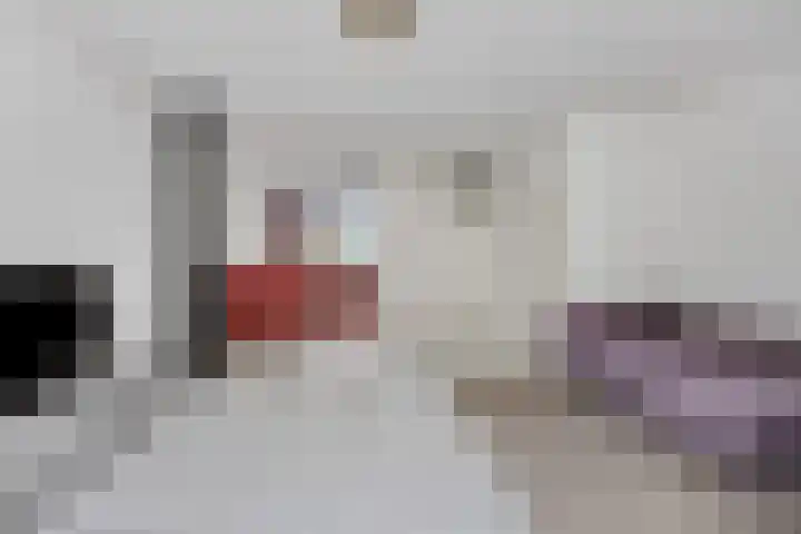Heufke 40 Druten thumbnail 9