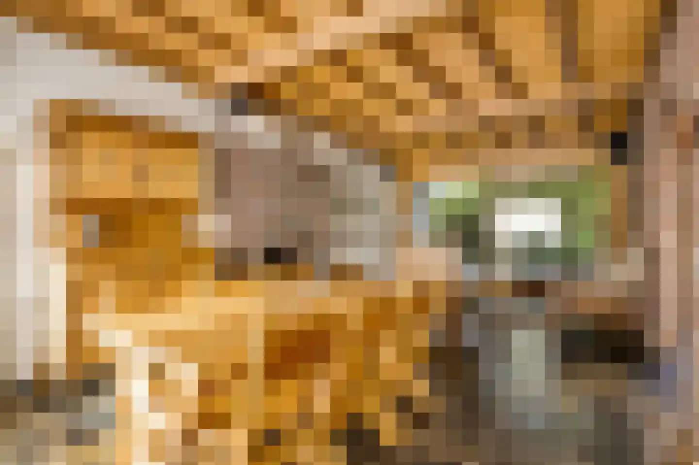 Heufke 5 Roggel thumbnail 13