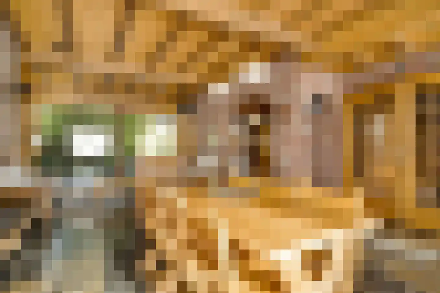 Heufke 5 Roggel thumbnail 14