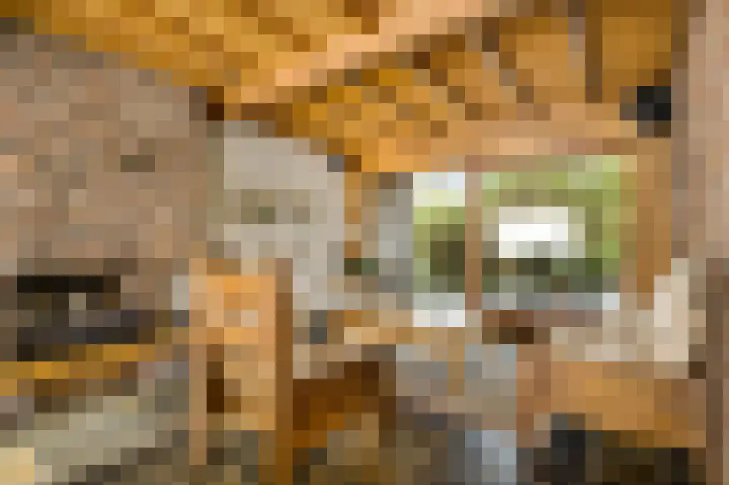 Heufke 5 Roggel thumbnail 15
