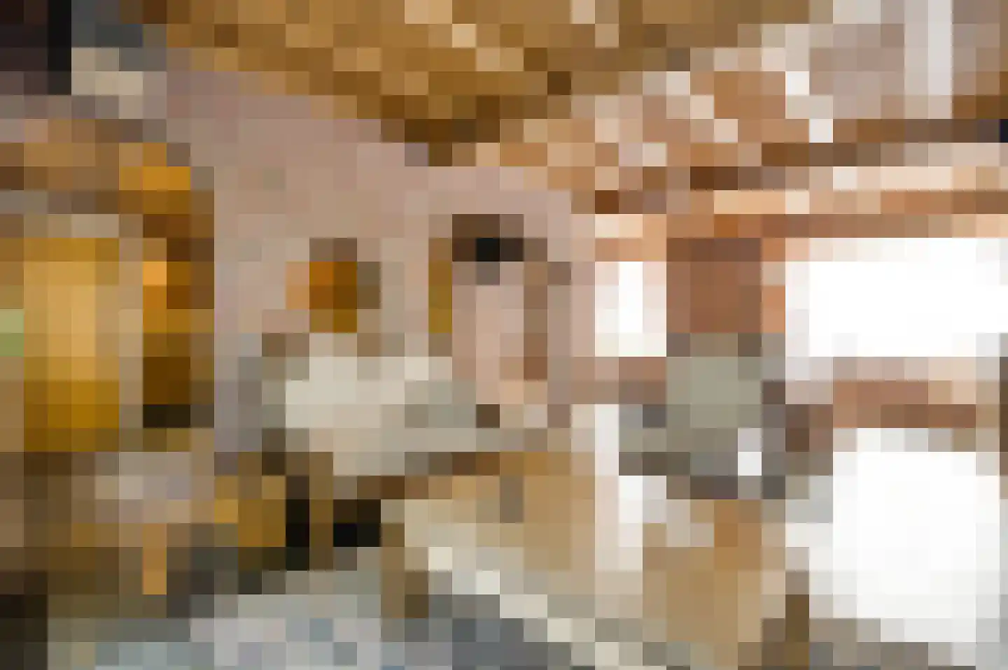 Heufke 5 Roggel thumbnail 16