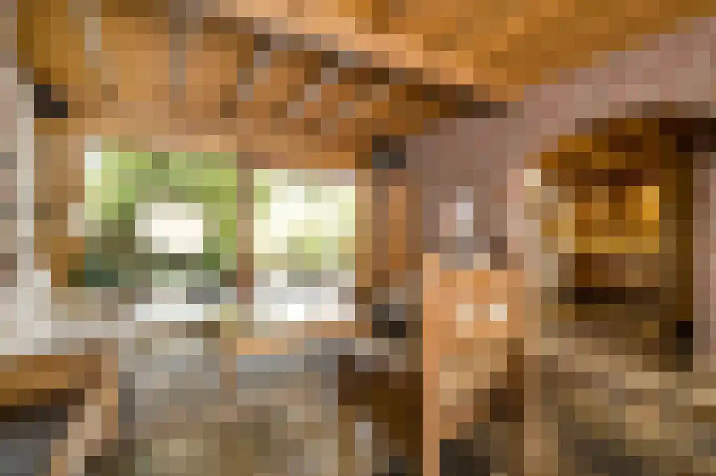 Heufke 5 Roggel thumbnail 19