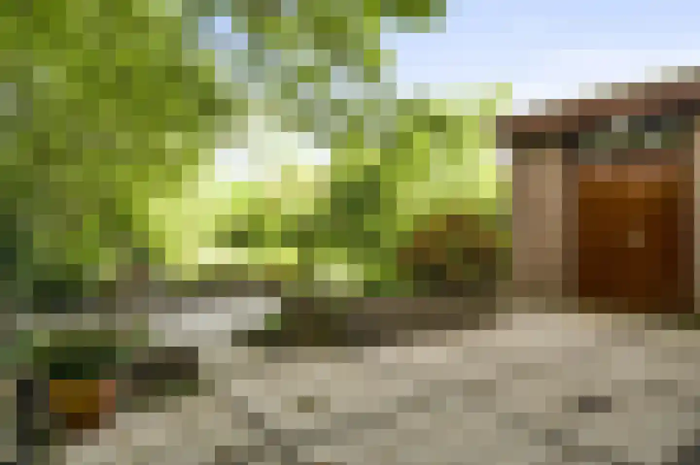 Heufke 5 Roggel thumbnail 28