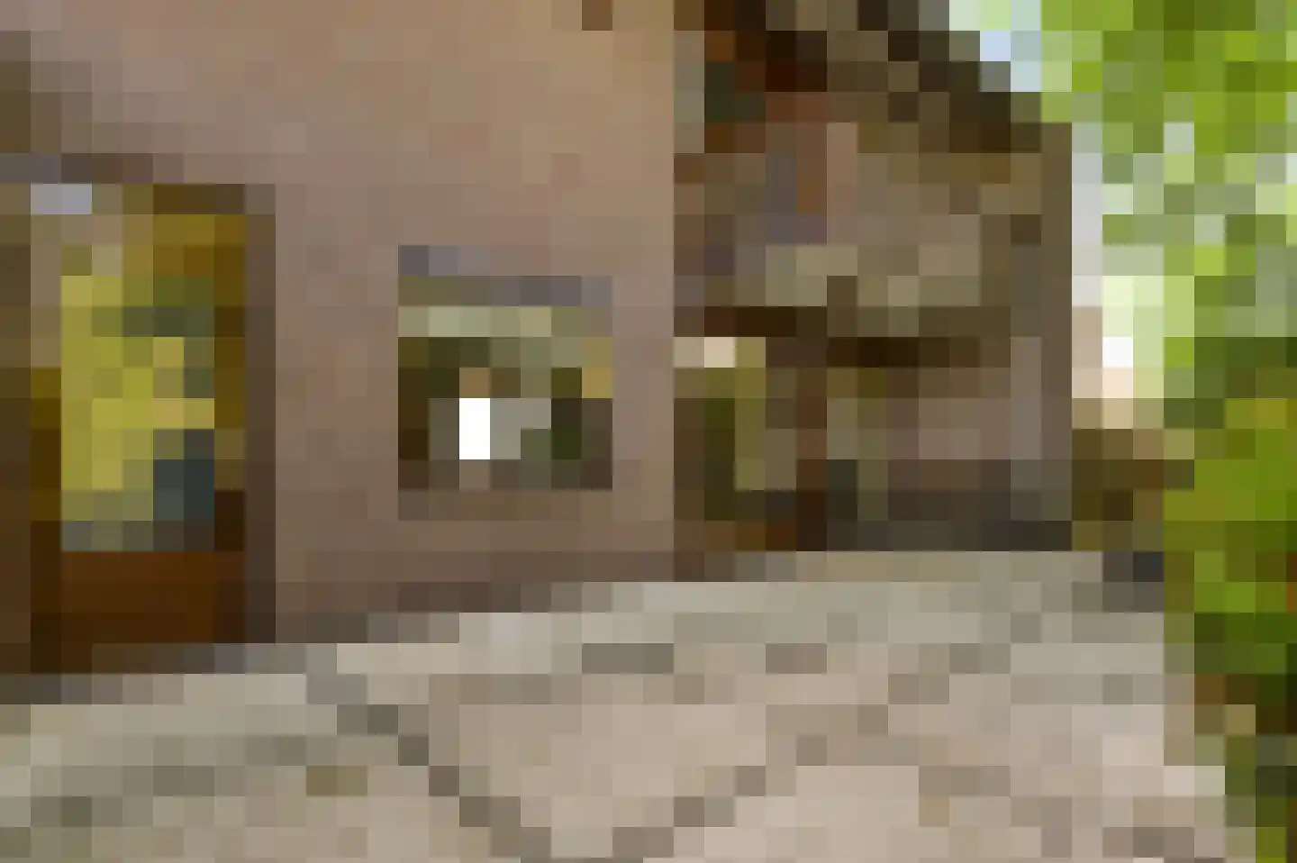 Heufke 5 Roggel thumbnail 29