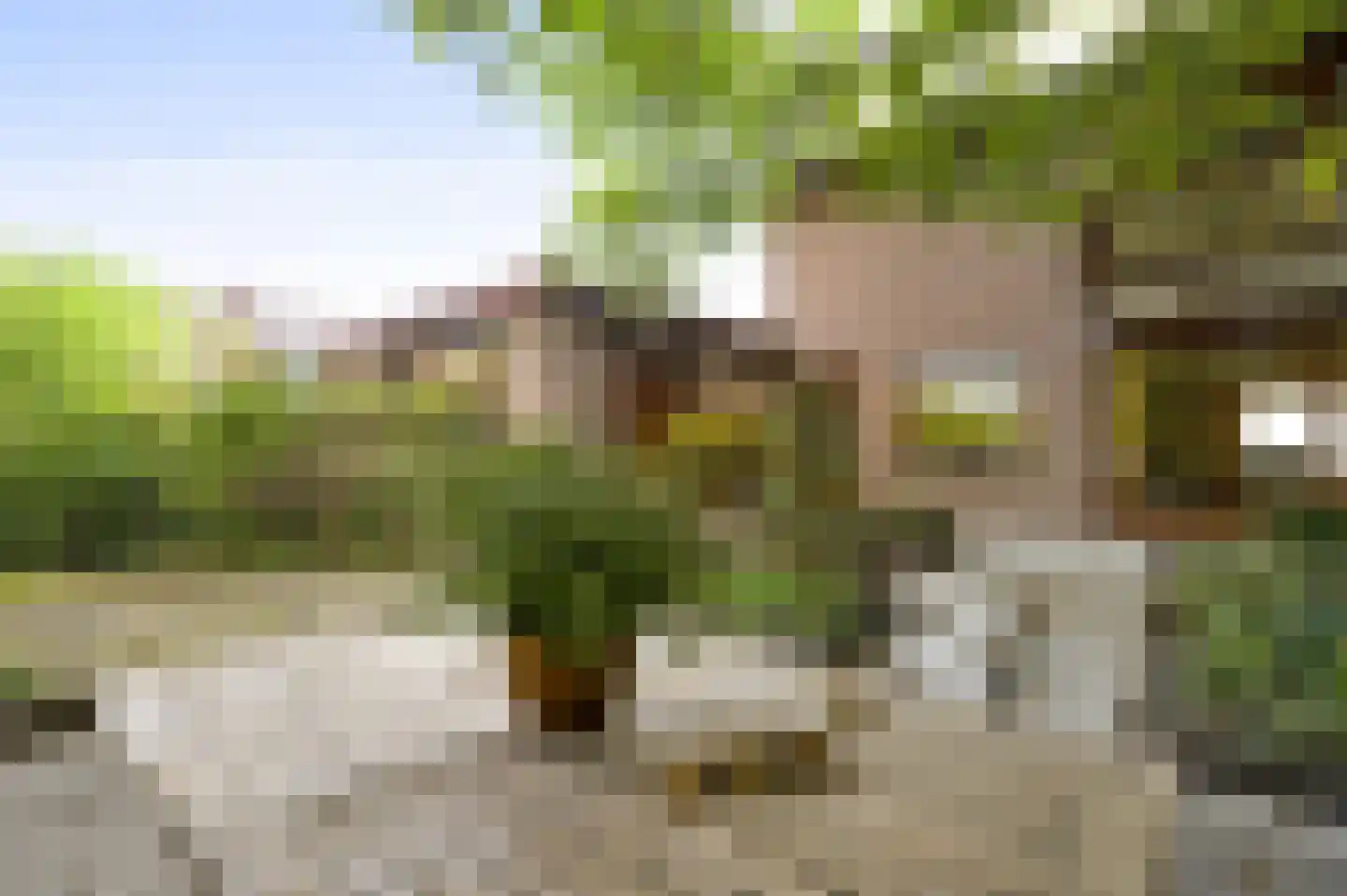 Heufke 5 Roggel thumbnail 33