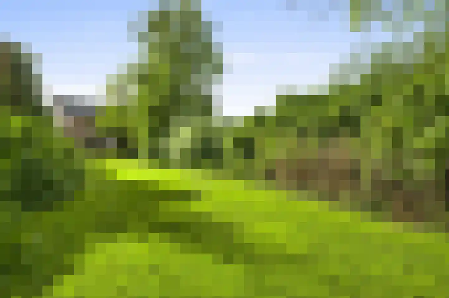 Heufke 5 Roggel thumbnail 4