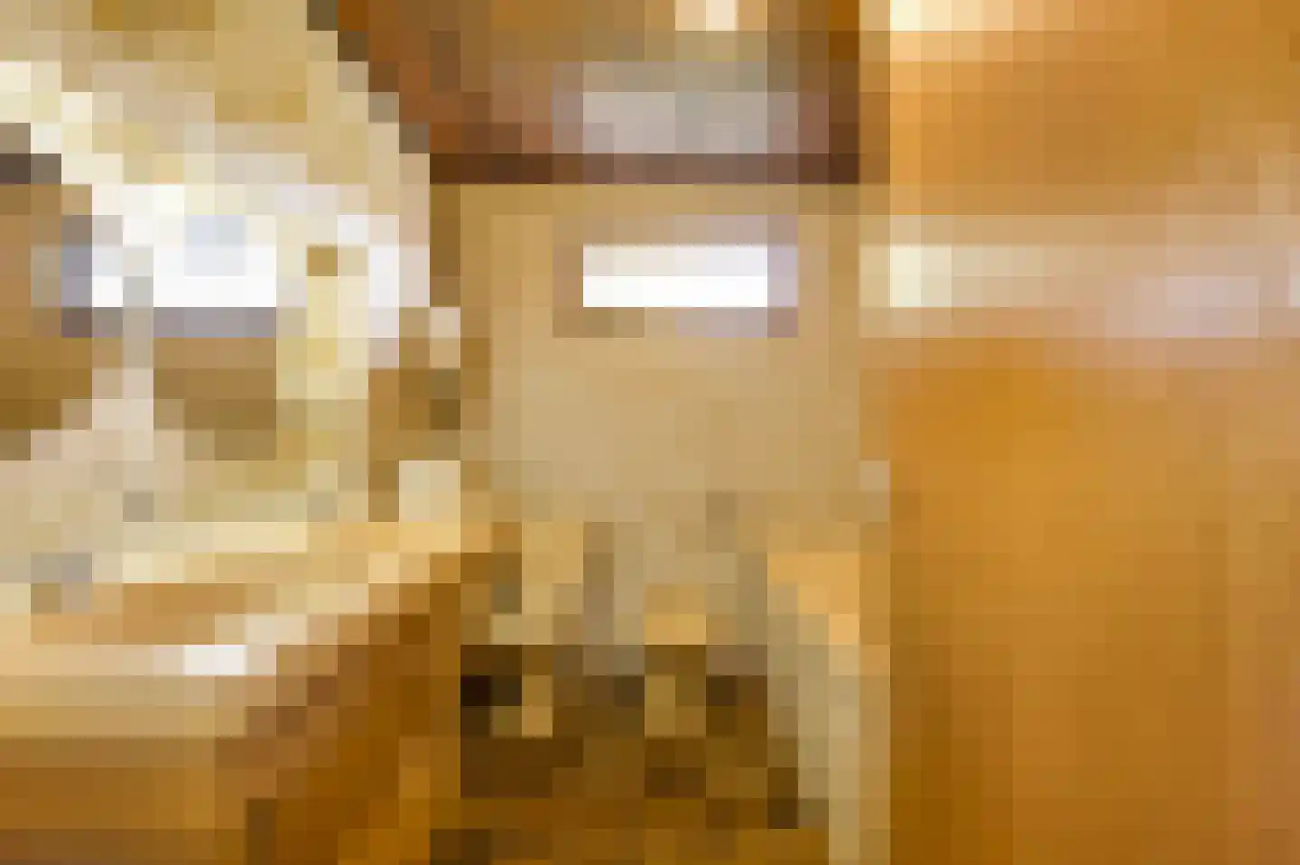 Heufke 5 Roggel thumbnail 43