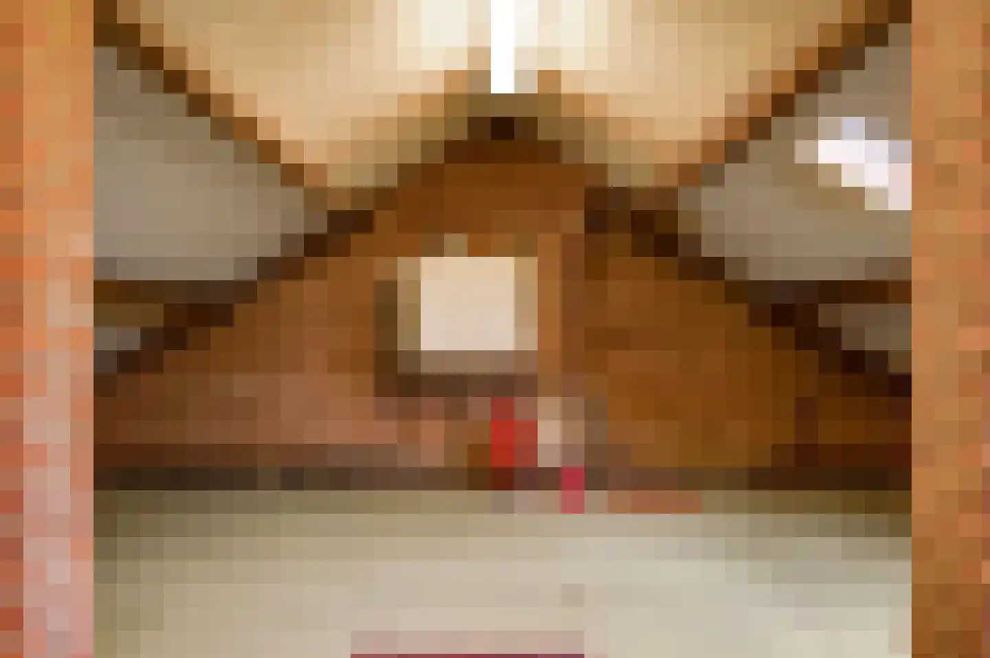 Heufke 5 Roggel thumbnail 47