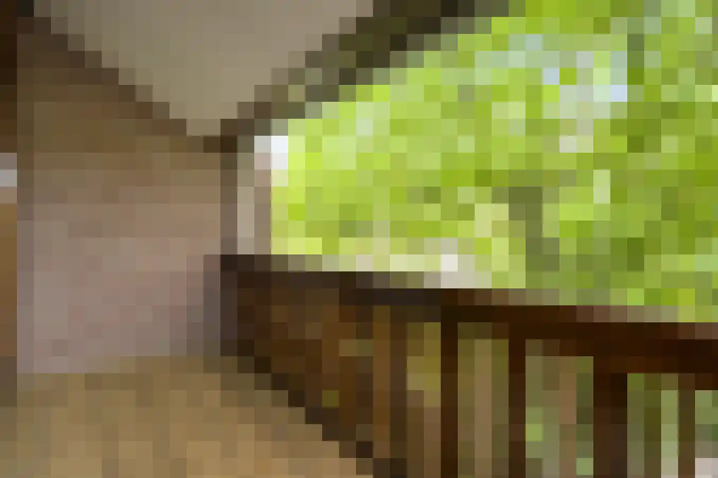 Heufke 5 Roggel thumbnail 51