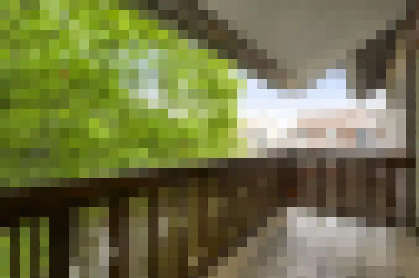 Heufke 5 Roggel thumbnail 52